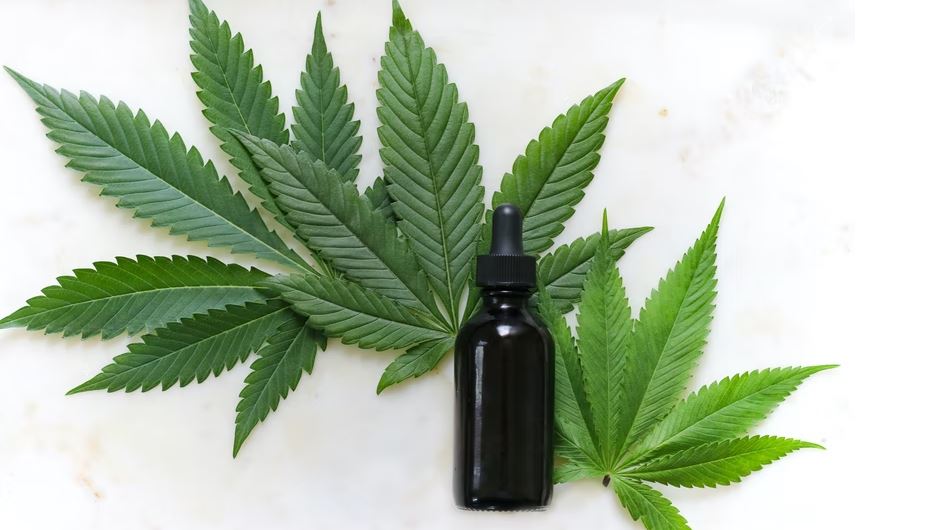 ¿Qué es el CBD? La guía definitiva sobre que es el CBD, en resumen